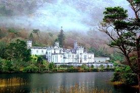 Excursión de un día a Connemara y al Parque Nacional de Connemara desde Galway. Guiado.