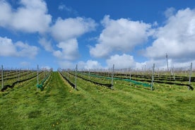 Apfelweinplantage und Weinbergtour