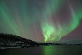 Kiruna: Norðurljósaferð með kvöldverði í Abisko