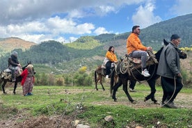 Safari de burro e passeio pela vila com almoço