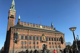  3h Private walking tour, Copenhagen