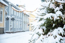 Tour de magia y tradiciones navideñas de Porvoo