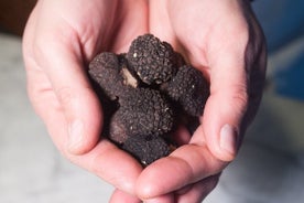 Cesarine: experiencia de demostración de cocina y cena con trufas en Perugia