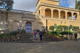 Excursión en tierra: medio día