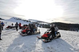 Snowmobile, ATV or Buggy Tour from Bucharest