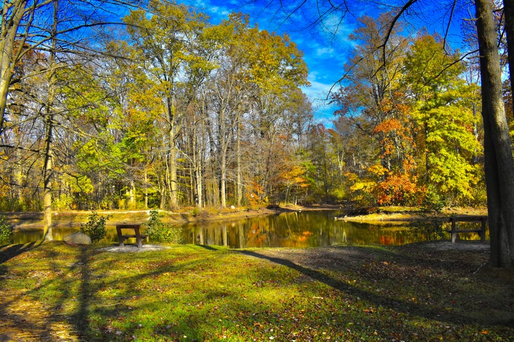 A Beautiful Autumn Day at the Park in Sosnowiec ,Poland.