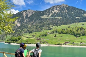 Visita guiada en bicicleta eléctrica de 4 lagos y crucero por el lago