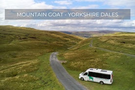 Excursão de dia inteiro a Yorkshire Dales saindo de York