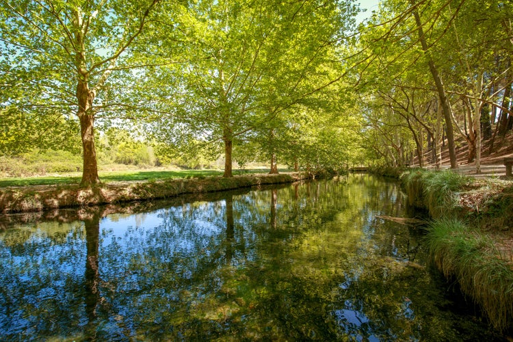 Photo of Idyllic view of the main stream of Fuentes del Marques in Caravaca de la Cruz, Region of Murcia, Spain, in spring .