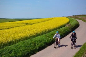 TourDeLanes Electric Bicycle Tour