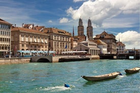 Lo mejor de Zúrich y sus alrededores: recorrido turístico ampliado por la ciudad