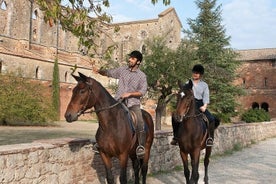 Équitation en Toscane pour cavaliers expérimentés ou débutants