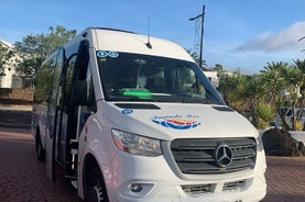 Excursão privada de meio dia a Lanzarote com coleta