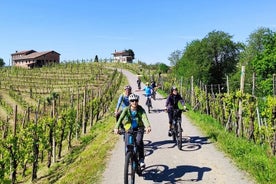 Passeio de bicicleta elétrica em Valdobbiadene com degustação de vinhos e comida típica