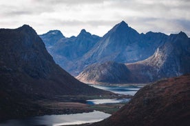 Lofoten: Einkatúr fyrir skemmtiferðaskipafarþega (frá Leknes)