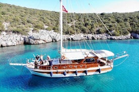 Bodrum: Private Gulet Tour with Lunch