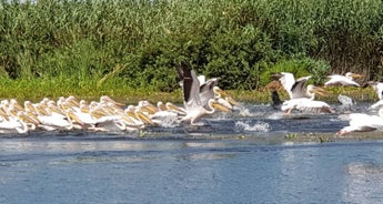 5 Days in the Heart of Danube Delta