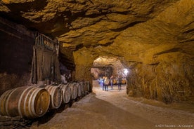 Afternoon Loire Valley Wine Tour from Tours or Amboise