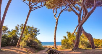 Tuscany Coastline