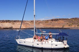 Tur i privat charter langs Tenerifes sydkyst