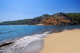 Excursión privada de medio día en barco a Dalyan