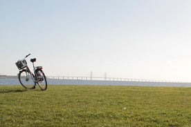 Tout autour de l'Oresund (auto-guidé)