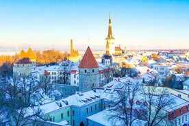 Tallinn: City Highlights Guided Walking Tour