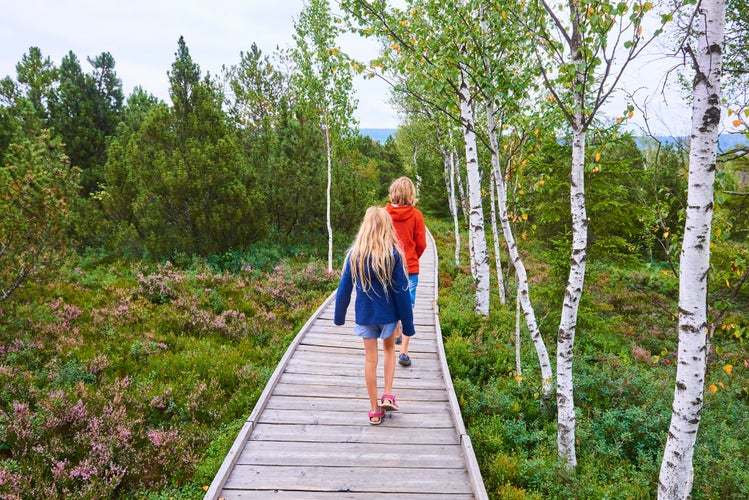 shutterstock_1817184059 Children walking along a wooden walkway in a peat bog in a national reserve. Selective focus to boy. Chalupska slat (peat bog), National Park Sumava (Bohemian forest), Czech Republic.jpg