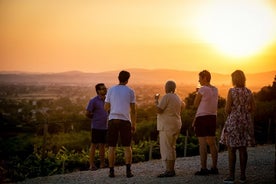 Disfruta y prueba los sabores del vino en un espacio al aire libre