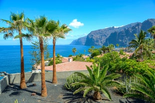 Top 10 Itineraries in Los Gigantes