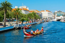 Aveiro: Half-Day Tour from Porto with Cruise