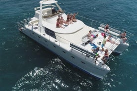 Crucero en catamarán de lujo de avistamiento de ballenas y delfines con comida y traslados gratuitos 