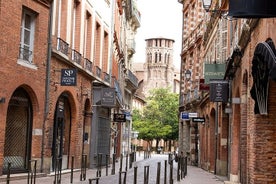 Visite privée à pied de 3 heures de Toulouse avec guide officiel