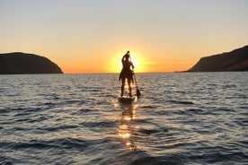 Wakeboarding/Wasserski und Paddleboarding in den Westfjorden