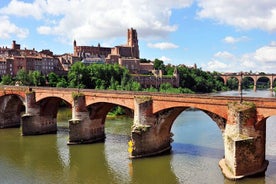 Einkaferð um Albi frá Toulouse