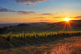 Tuscany countryside from Livorno: Private Volterra, San Gimignano & Wine Tasting