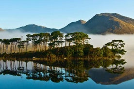 From Galway: Connemara, Kylemore Abbey or National Park Tour