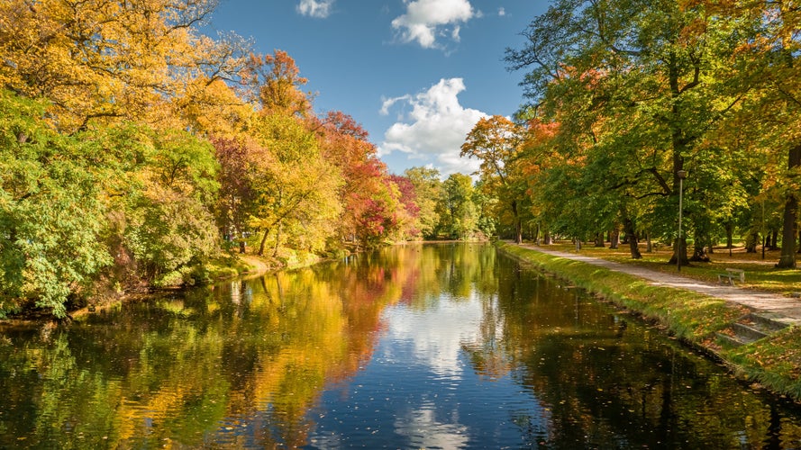 Aerial view to autumn river Brda in Bydgoszcz, Poland. Polish golden autumn in nature.