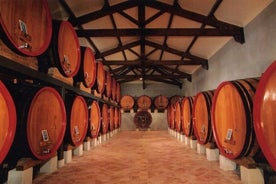 Matinée tour des vins à Chateauneuf du Pape