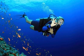 Expérience De Plongée Sous-Marine À Fethiye Par Un Expert Local