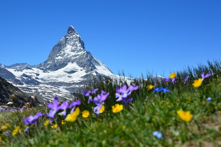 switzerland-in-july-6.jpg