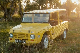 Noleggio Mehari 4x4