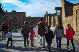 Private Tour: Pompeii Tour with Family Tour Option