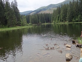 Vrbické pleso