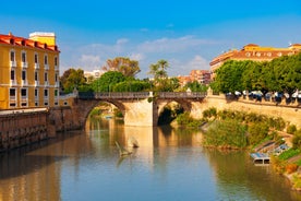 Photo of Murcia city centre and Segura river aerial panoramic view. Murcia is a city in south eastern Spain.