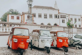 Visite des palais et de la montagne de Sintra