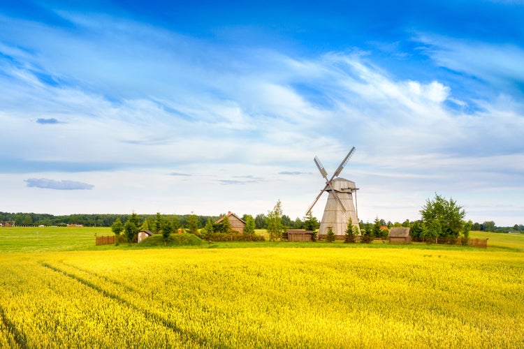 Photo of wooden windmill on background field and sky. Dudutki village, Minsk Region.