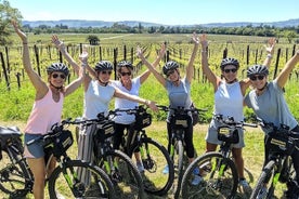 Private E-Bike-Weinguttour durch Saint Emilion mit Picknick-Mittagessen