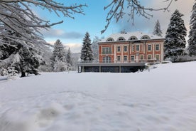 Wellness & Spa Hotel Villa Regenhart