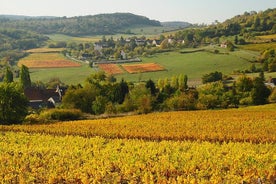 Borgogna tour in bicicletta con degustazione di vini da Beaune